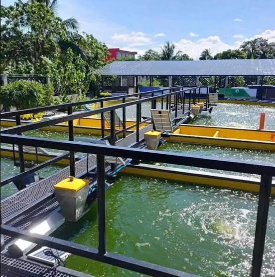 AQUACULTURE TECHNICIAN