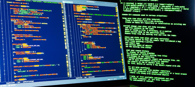SOFTWARE DEVELOPER