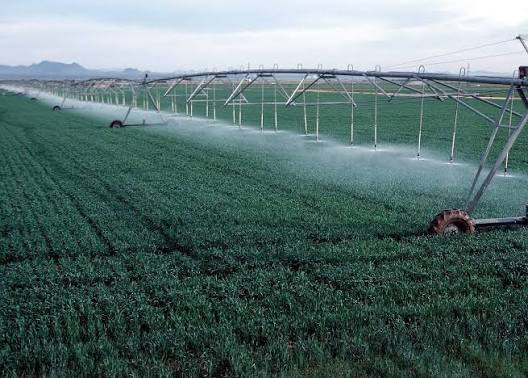 Agriculture